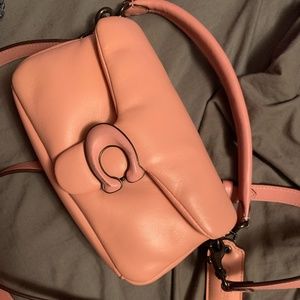 coach pillow tabby 18